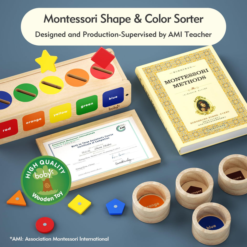 Dailyfunn Montessori Wooden Sorting Box for Toddlers